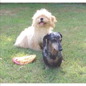 Meet your Posher, Natalie